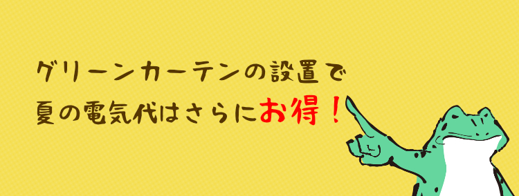 グリーンカーテンの設置で 夏の電気代はさらにお得！